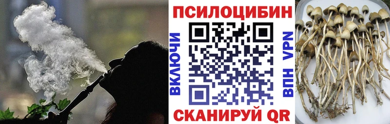 MEGA сайт  Киренск  Галлюциногенные грибы Magic Shrooms 